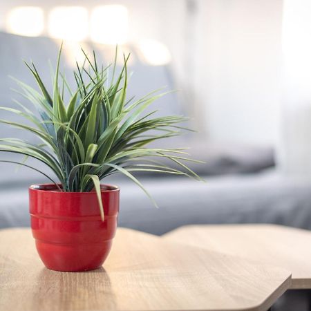 Apartamentos La Mota - Centrico モタ・デル・クエルボ エクステリア 写真